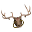 Thumbnail for version as of 13:51, 2 October 2026