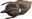 Thumbnail for version as of 17:48, 30 September 2026