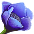 Thumbnail for version as of 17:58, 30 September 2026