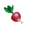 Thumbnail for version as of 11:52, 1 October 2026