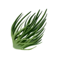 Thumbnail for version as of 18:00, 30 September 2026