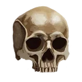 Thumbnail for version as of 17:59, 30 September 2026