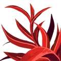 Thumbnail for version as of 18:04, 30 September 2026