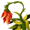 Thumbnail for version as of 17:57, 30 September 2026