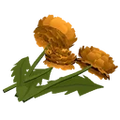 Thumbnail for version as of 17:57, 30 September 2026