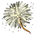 Thumbnail for version as of 17:58, 30 September 2026