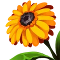Thumbnail for version as of 17:58, 30 September 2026