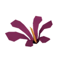 Thumbnail for version as of 18:01, 30 September 2026