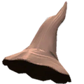 Thumbnail for version as of 12:05, 1 October 2026