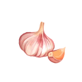 Thumbnail for version as of 11:51, 1 October 2026