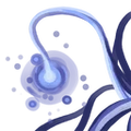 Thumbnail for version as of 17:57, 30 September 2026