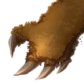 Thumbnail for version as of 17:55, 30 September 2026