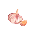 Thumbnail for version as of 17:56, 30 September 2026