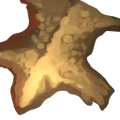 Thumbnail for version as of 17:55, 30 September 2026