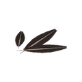 Thumbnail for version as of 18:01, 30 September 2026