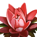 Thumbnail for version as of 11:53, 1 October 2026