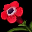 455.webp 455.webp