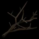 9155.webp 9155.webp