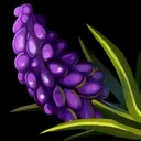 437.webp 437.webp
