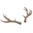 Deer Antlers