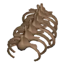 Piece of Kreogu's Exoskeleton