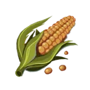 Corn