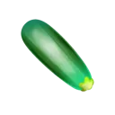 Cucumber