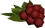 Redberries