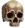 The Skull of Drawyn Spear