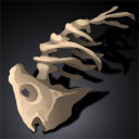 Gleaned Fishbones