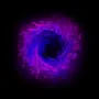 1226.webp