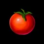 289.webp