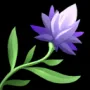 443.webp