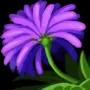 440.webp