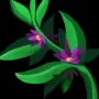 452.webp