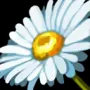 451.webp