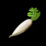 292.webp