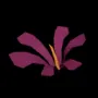 914.webp