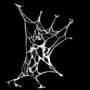 1801.webp