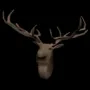 9139.webp