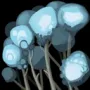 442.webp