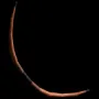 154.webp