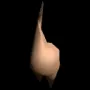 9016.webp
