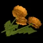438.webp