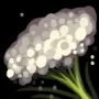 446.webp