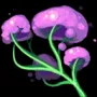 447.webp
