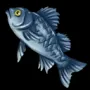192.webp