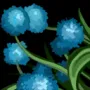 441.webp