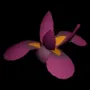 433.webp
