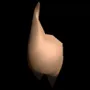 9015.webp